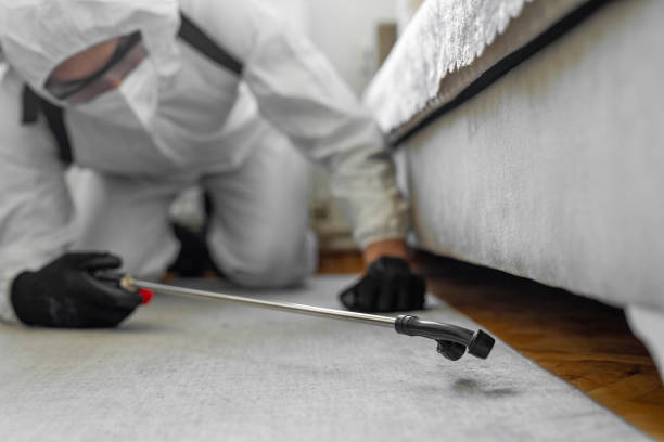 Professional Pest Control technician working in Ashtabula County County, OH